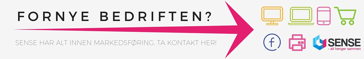 fornye bedriften- (1)
